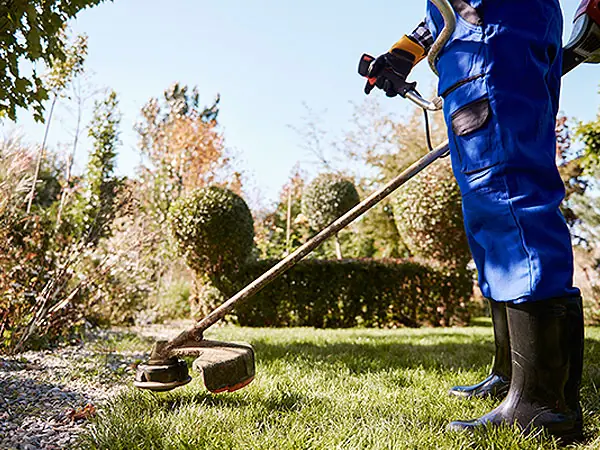 HSD_Grünanlagenpflege