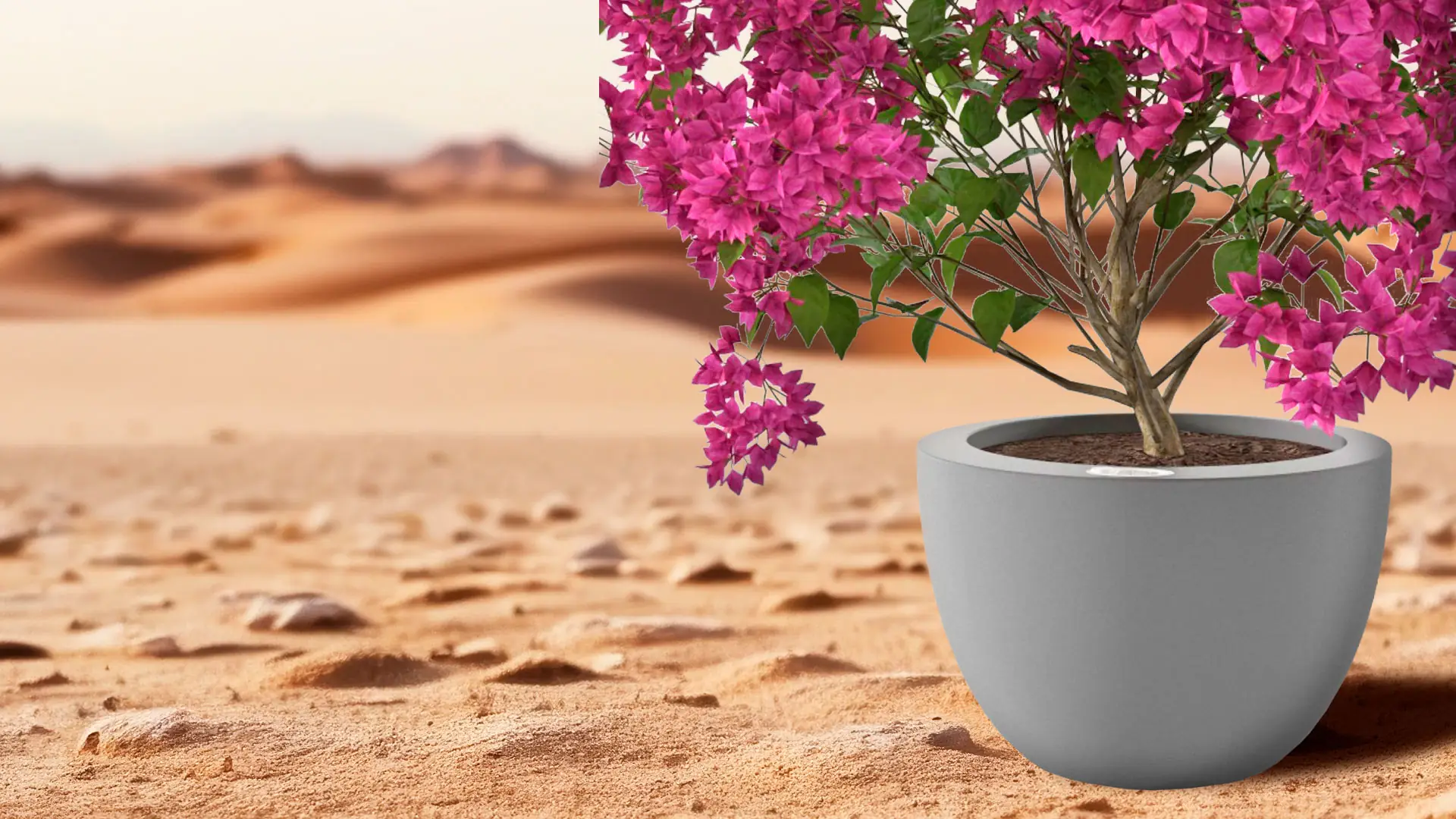 was-sind-heller-podds